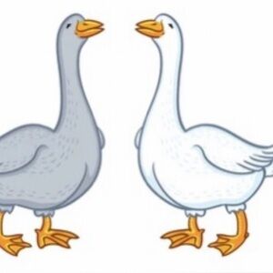 Meet your Posher, Goose and Gander!